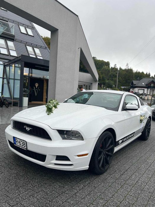 Ford Mustang na ślub, wynajem Nowy Sącz, Gorlice, Limanowa/VIPLimo.pl