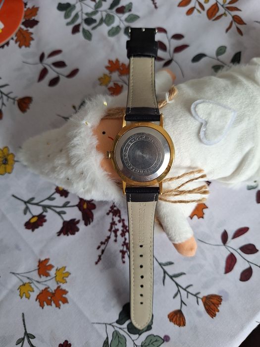 Poljot Bocian 17 jewels