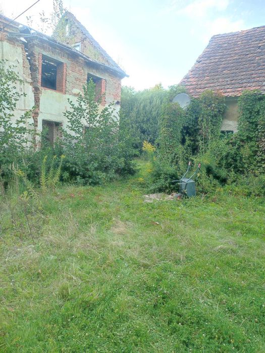 Leśny młyn pod Radunią 4,11 ha
