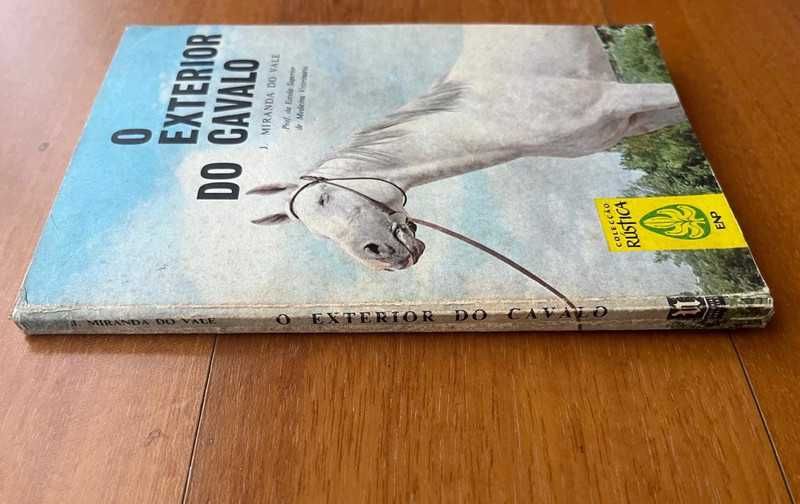 "O Exterior do Cavalo" de José Miranda do Vale