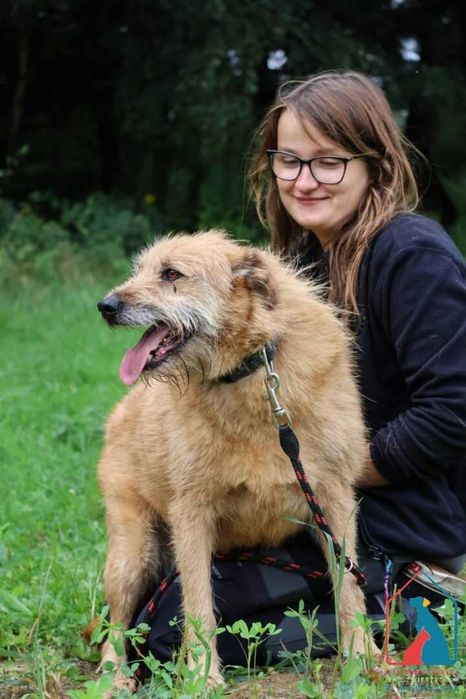 KOCHANY, KUDŁATY, czuły i pogodny - nigdy nie miał domu - adoptuj