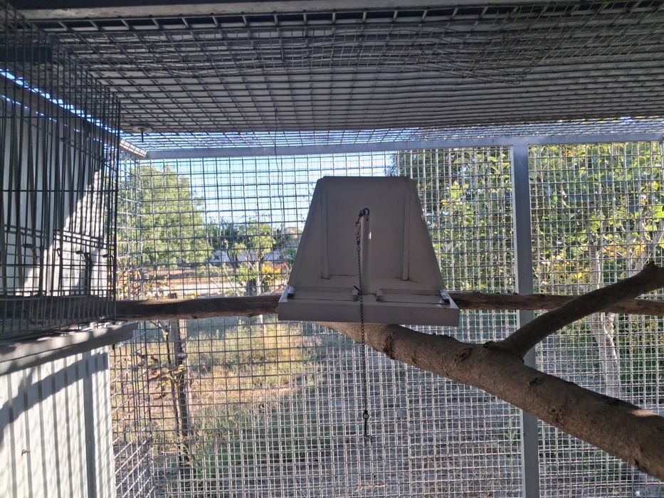 Gaiolas aves pequenas  e papagaios