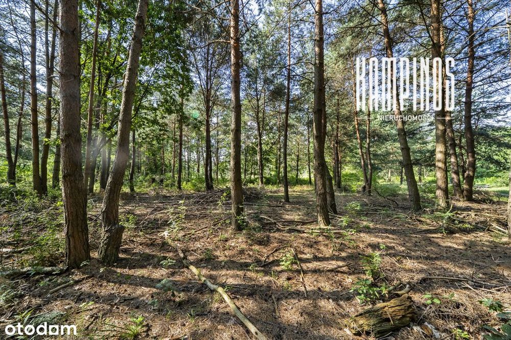 Działka budowlana przy Puszczy Kampinoskiej 2/2