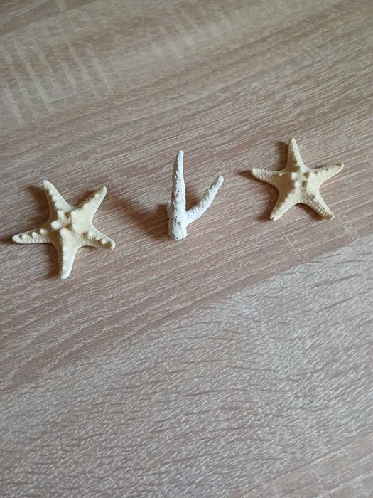 Ракушки и изделия из ракушек.