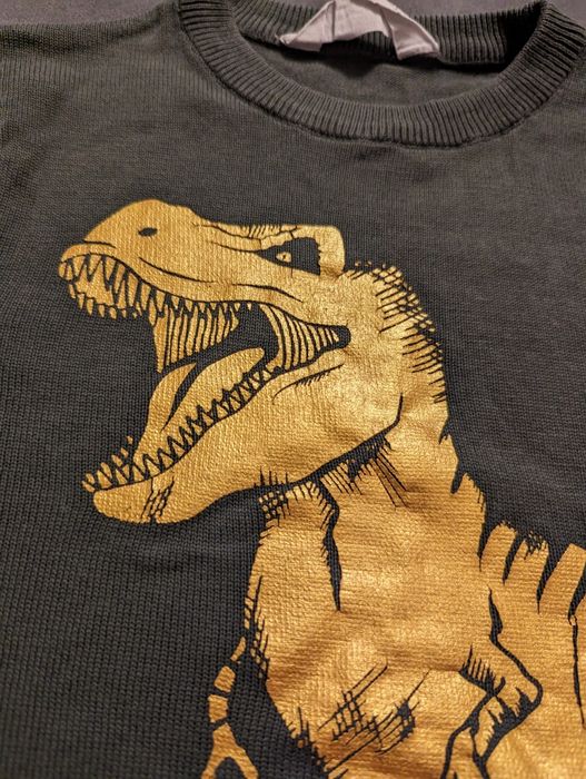 110 h&m sweterek zielony złoty dinozaur 110-116 bdb