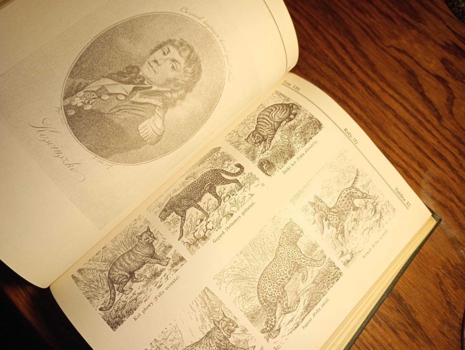 Encyklopedia Gutenberga