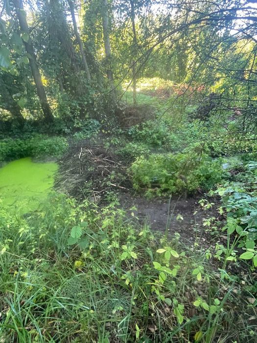 Siedlisko - Działka - warunki zabudowy - Kościuszki!!