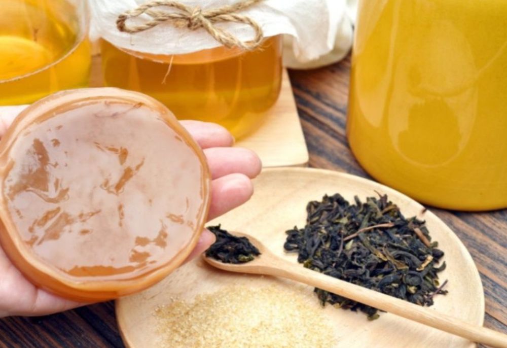 Kombucha / grzybek herbaciany starter