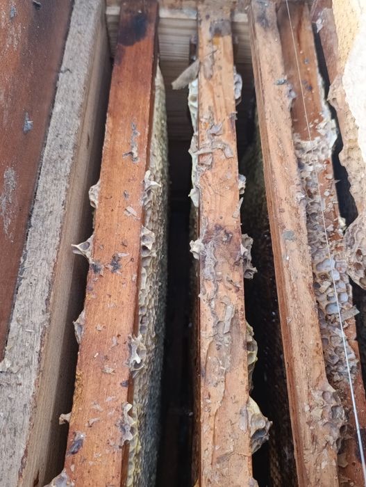 3- з корпусний вулик з рамками