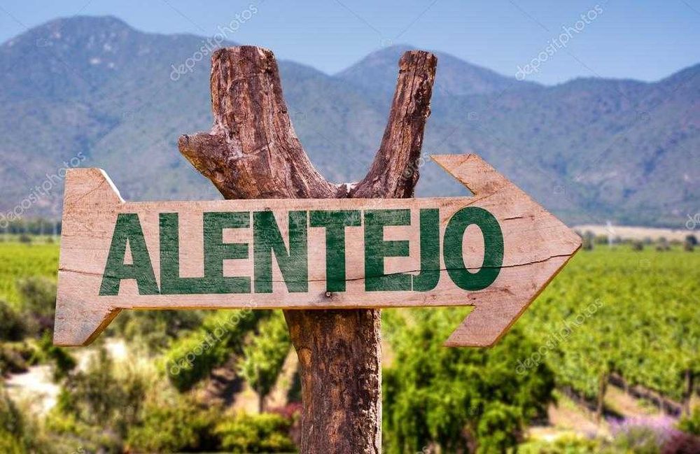 Quinta ( 2 hectares terreno /  2000m2 construcão)  em Vila Alentejana