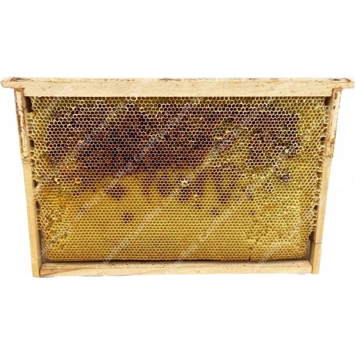 Рамки пчелиные сушь  300 мм Дадан
 300 мм Да