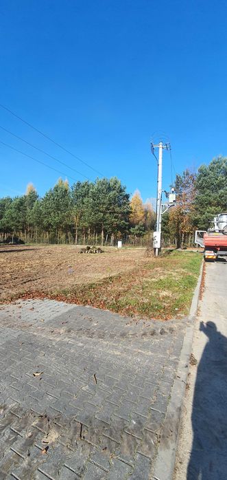 Mulczer leśny, mulczowanie, karczowanie mulczer wgłębny  wycinka drzew