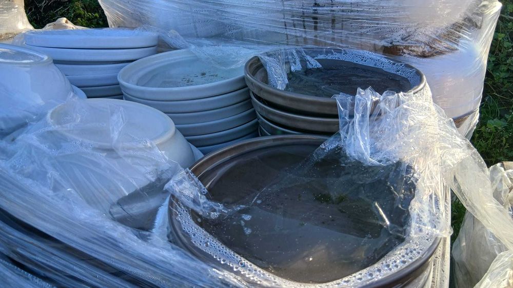 Loiça e louça nova uso doméstico e eventos