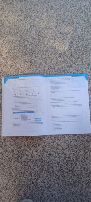 Cadernos de Atividades Físico-Química 9º Ano