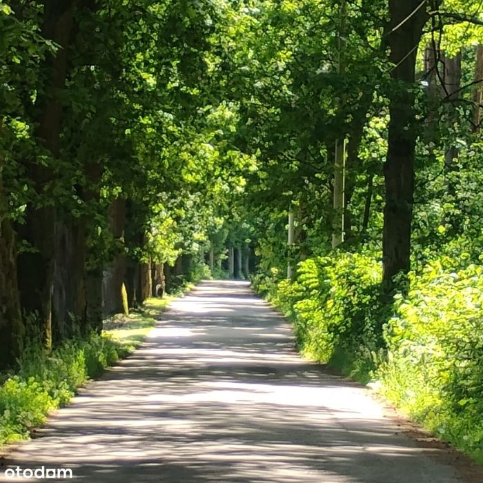 Atrakcyjne działki budowlane – Silniczka, gmina Żytno