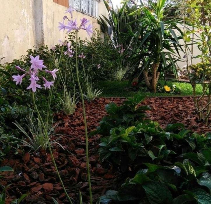 Construção e Manutenção de Jardins & Espaços Verdes