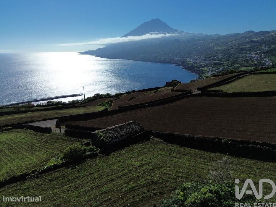 Terreno Agrícola em Lajes do Pico