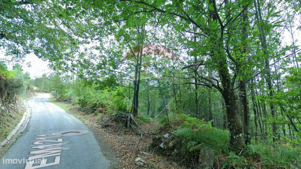 Terreno  para venda — Atei, Vila Real