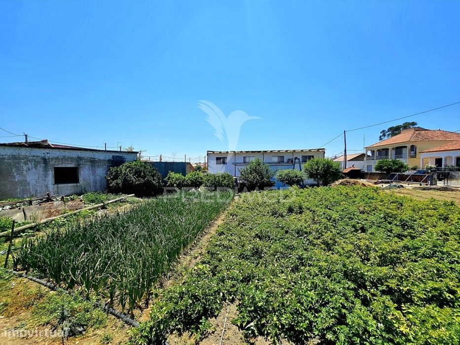 Moradia T4 com Armazém e terreno