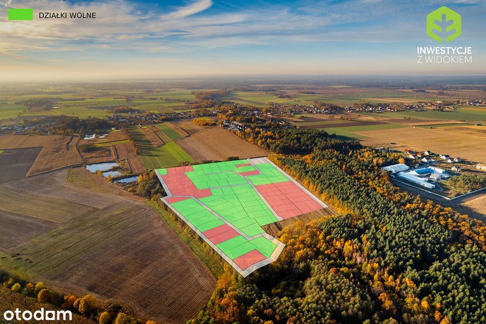 Żyj blisko natury – działki przy lesie w Poniatowicach - View 6