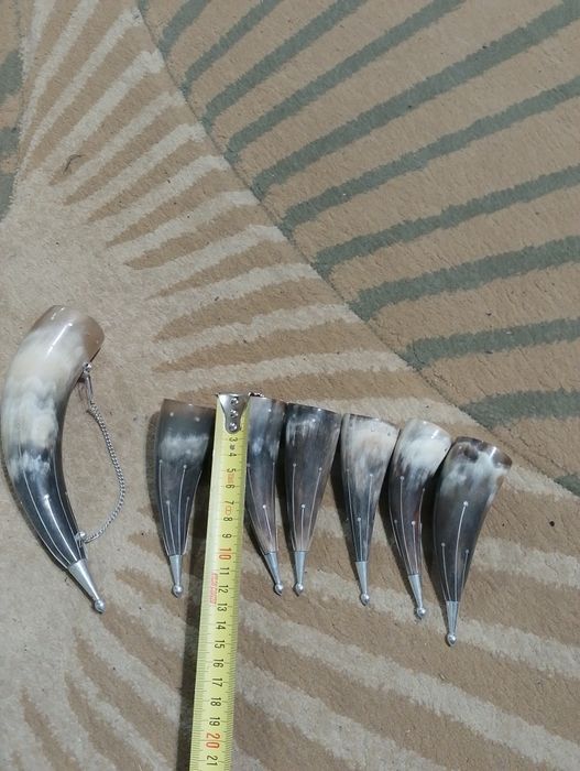 Рога старые коллекционные