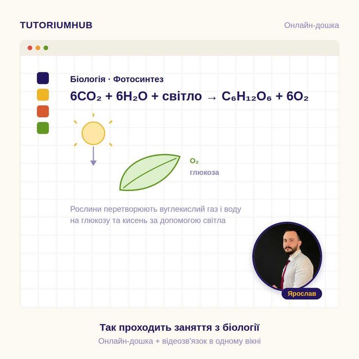 Репетитор математика, англійська, німецька, фізика, хімія, біологія, українська мова, польська мова, початкові класи, онлайн, підготовка до НМТ