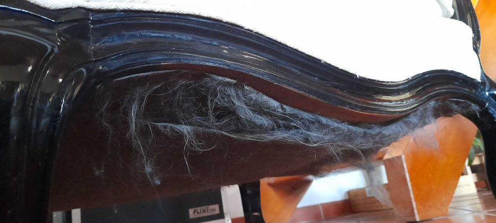 2 sofás vintage estilo Louis Honey