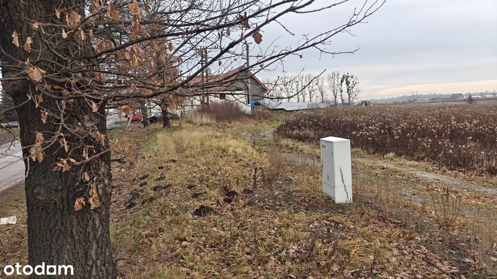 Działka budowlana 1550 m² z asfaltowym dojazdem