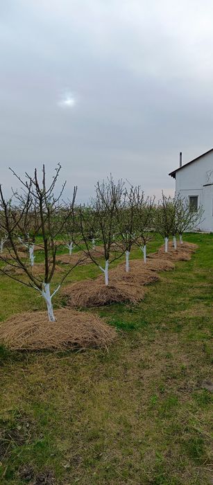 Продам будинок  терміново, торг.