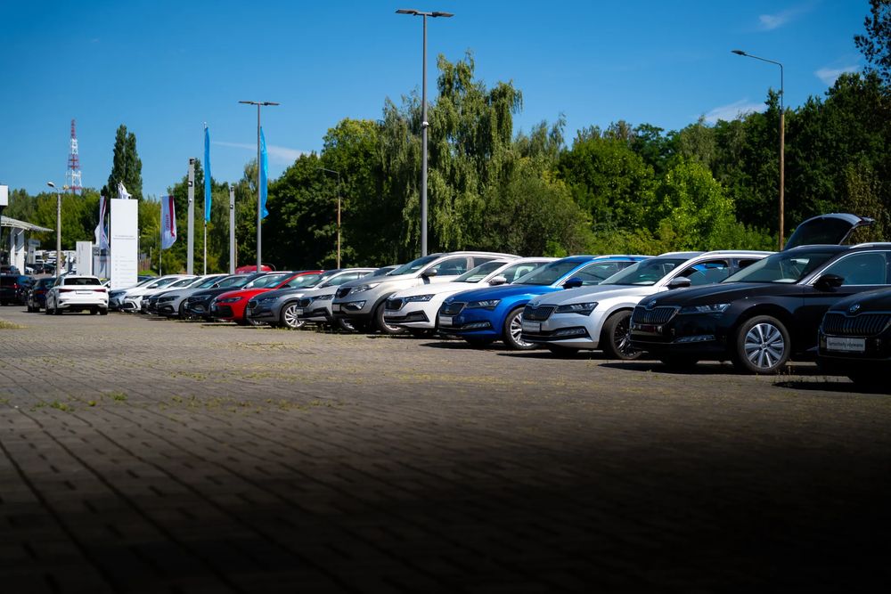 business-site-gallery-photo