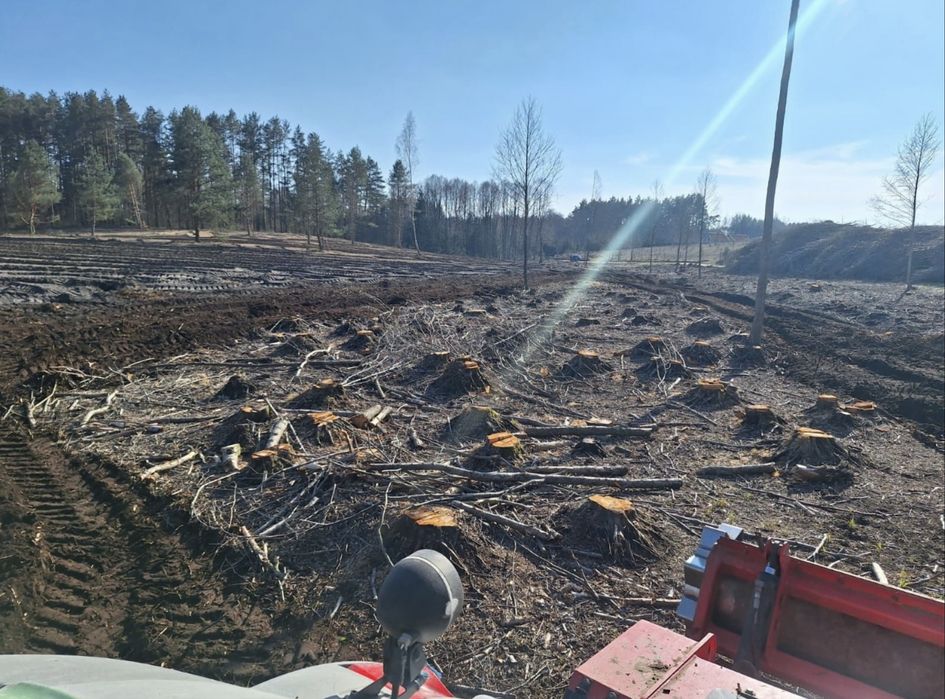 MulczerLeśnyWgłębnyWycinkaDrzewSamosiewówSkupDrewnaLasow