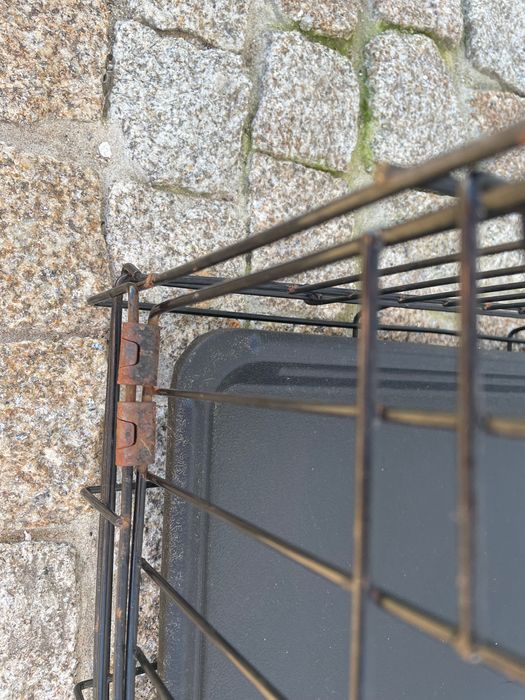 Gaiola para transporte de cães