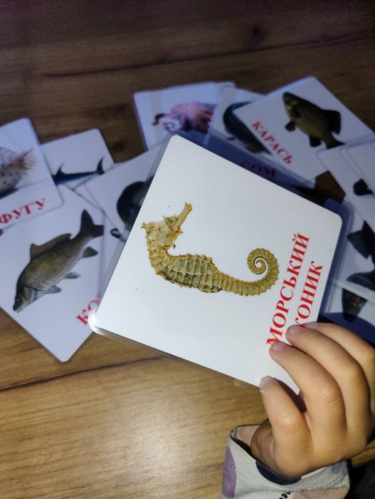 Картки Домана, розвиваючі картки, ранній розвиток