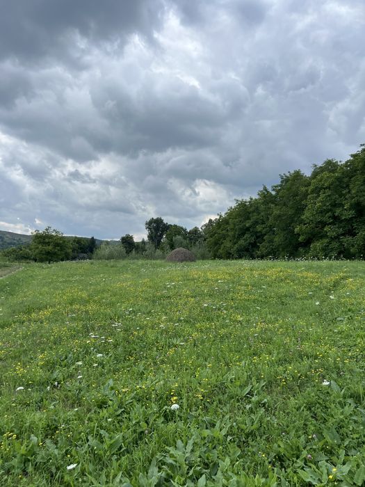 Продаж! Земля 50 сотих + будинок