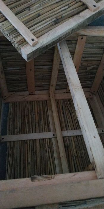 Корпуси з камишa.