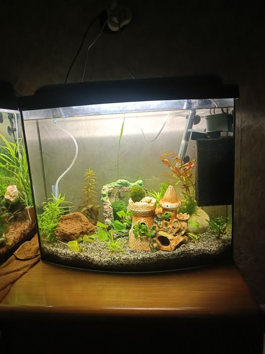 Аквариумы 190 и 80 л. Со всем оборудованием