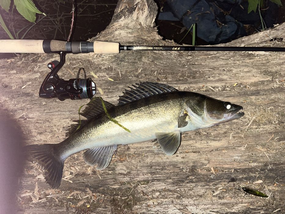 Спінінг G.Loomis Classic Steelhead STR1141S GLX