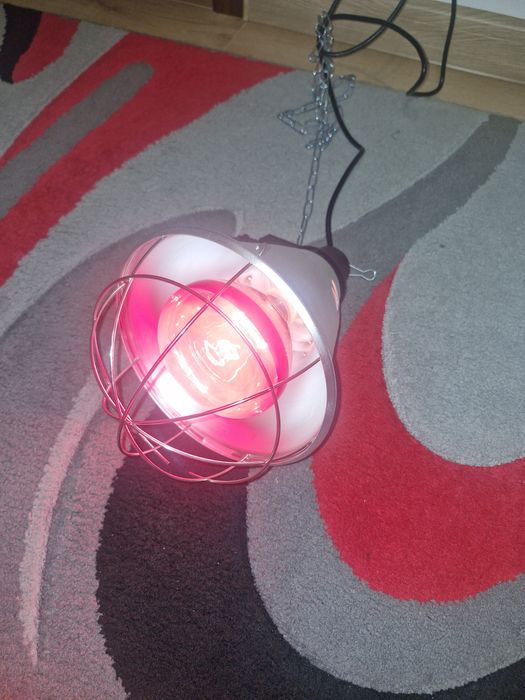 Lampa grzewcza kwoka