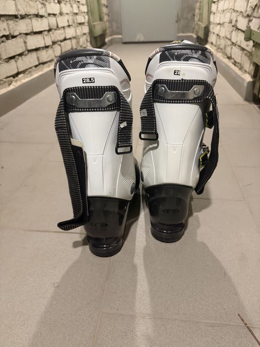 Buty narciarskie Salomon