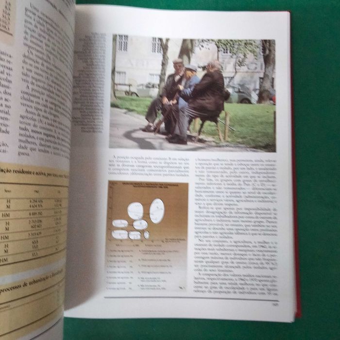 Portugal Contemporâneo (6 volumes) - António Reis