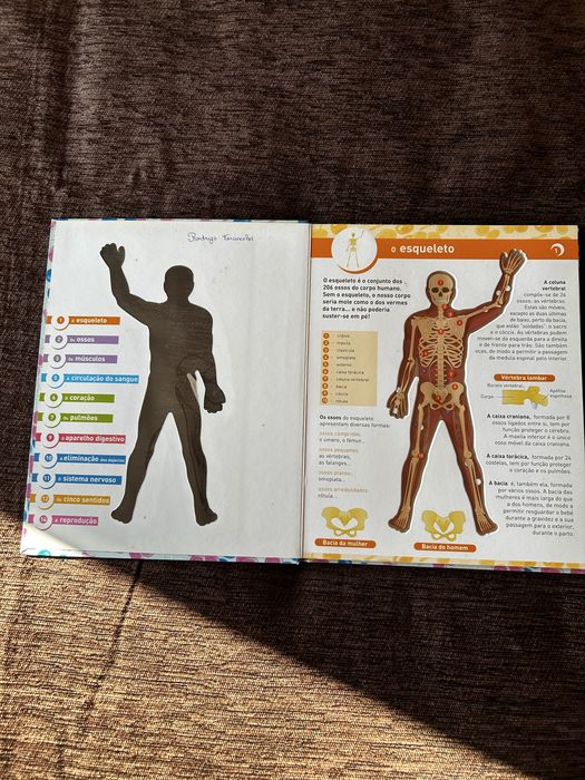 Livro O Corpo Humano