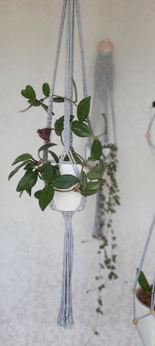 Макраме  підвісне кашпо