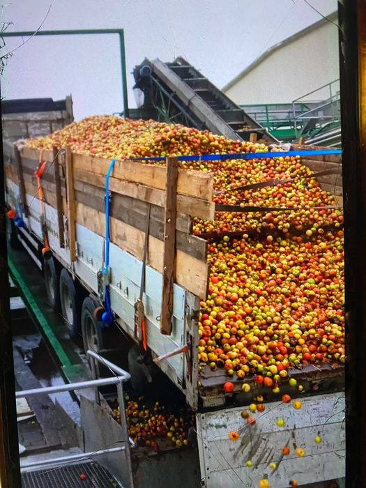 Причеп | Прицеп | Причiп Krone SDP 24 2002