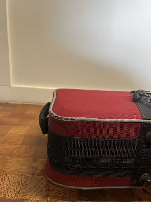 Viola d’arco (14 polegadas)