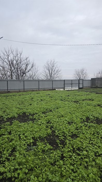 Продаж приватизованої  земельної ділянки з гостьовим будиночком