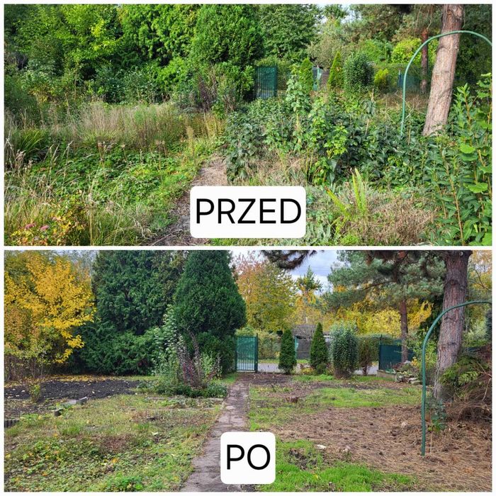 usługi ogrodnicze Wrocław