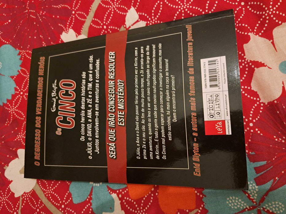 Os Cinco - Na Ilha do Tesouro