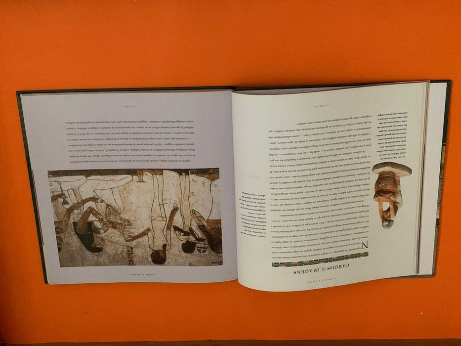 O antigo Egipto - Joann Fletcher