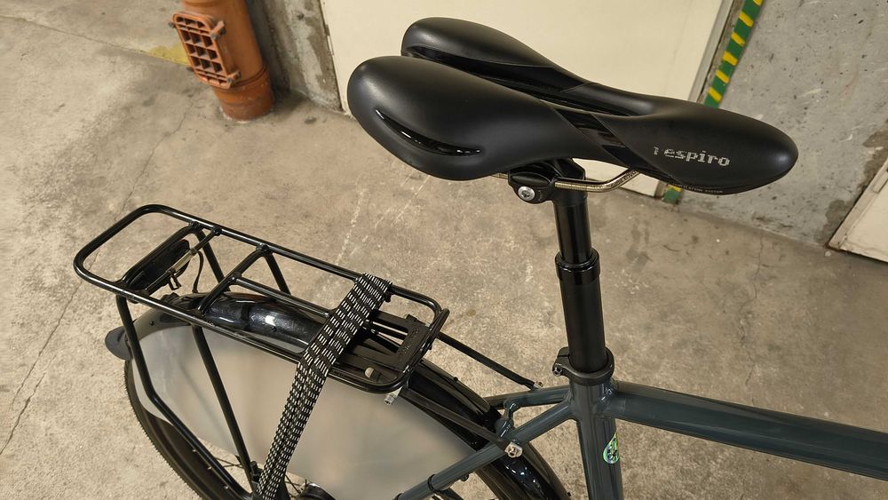Diamant 247 Alfine Custom jedyny taki trekking commuter gravel