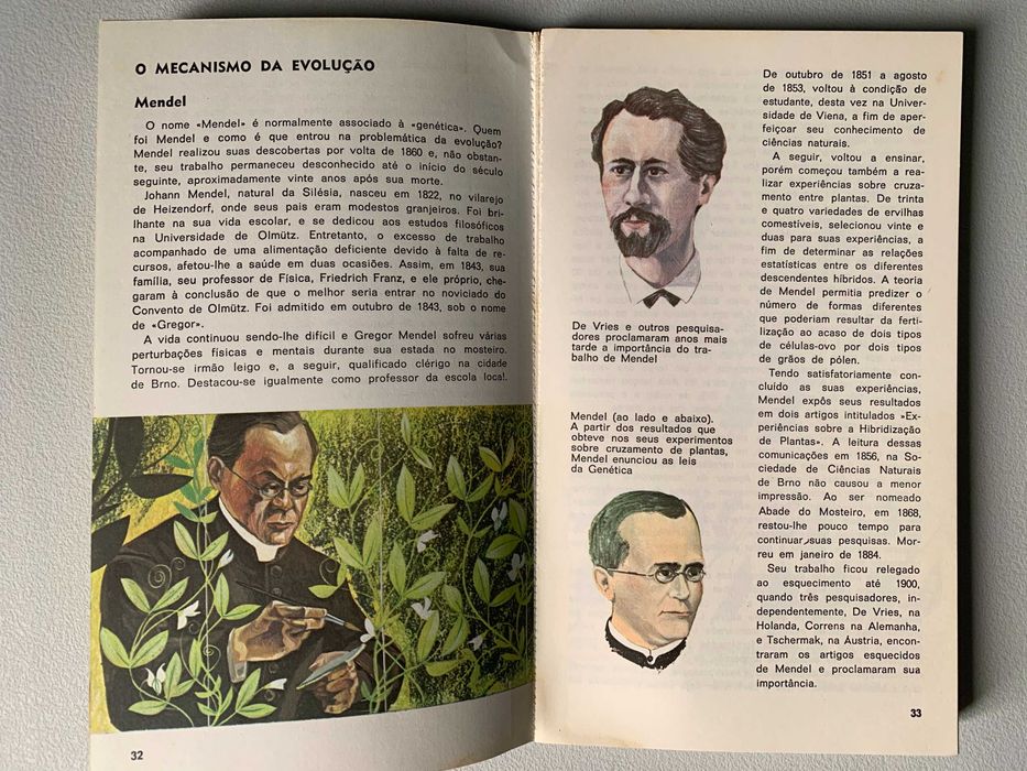 A Evolução da Vida, de Catherine Jarman